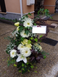 №１７￥１０．０００－