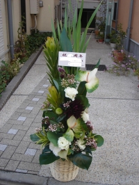 №１８￥２０．０００－和風モダン
